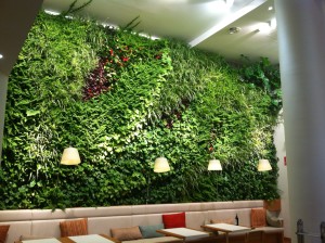 Indoor vertical garden Poncelet Cheese Bar in Madrid