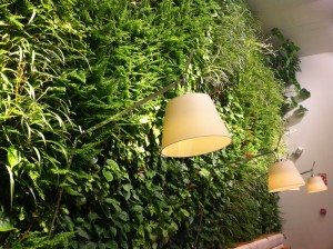 Indoor vertical garden Poncelet Cheese Bar in Madrid - detail