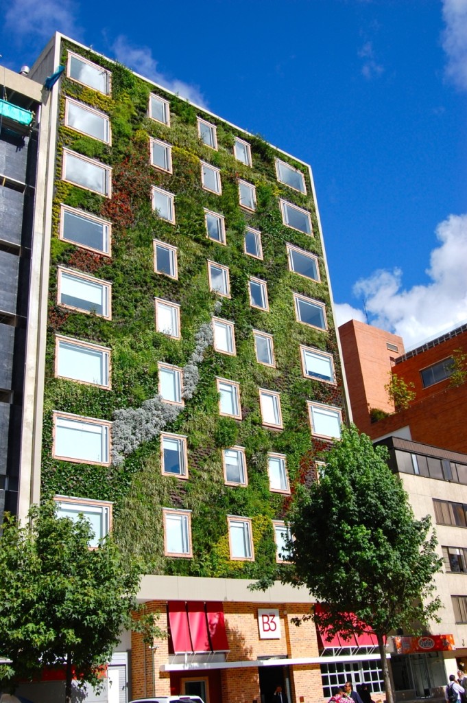 Vertical Garden Hotel B3 in Bogota - one month planted 1