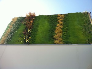 Vertical Garden penthouse in Murcia - top garden detail