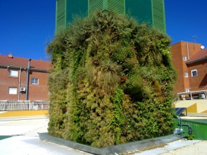 fachada-vegetal-getafe-ocho-meses-despues-columna-vegetal-paisajismo-urbano-ecosistema-vertical