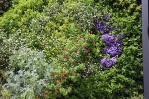 vertical Garden banquet hall Indalo in Elda - green wall detail 3