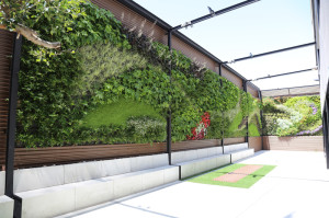 vertical Garden banquet hall Indalo in Elda - green wall panorama